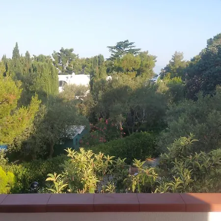 Matisse - Damecuta Park Lejlighed