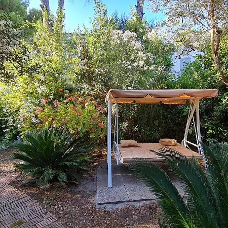 Matisse - Damecuta Park