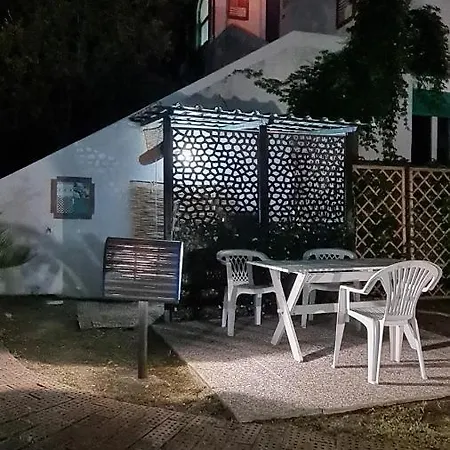 Matisse - Damecuta Park אנה קאפרי