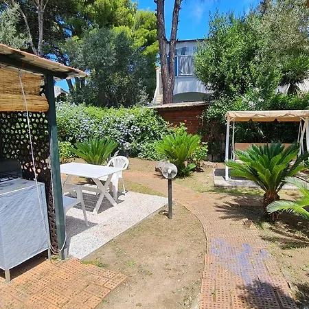 Matisse - Damecuta Park *