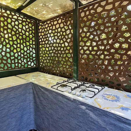Apartman Matisse - Damecuta Park *