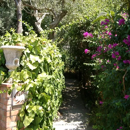 Apartman Matisse - Damecuta Park *