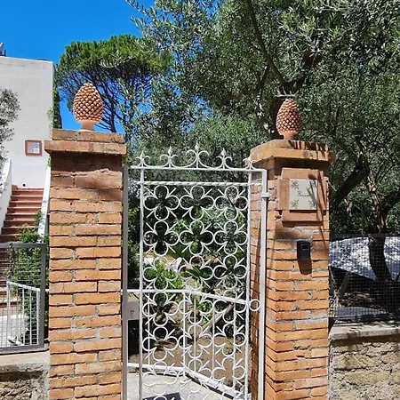Matisse - Damecuta Park * Anacapri