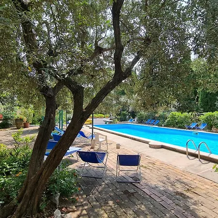 Apartman Matisse - Damecuta Park